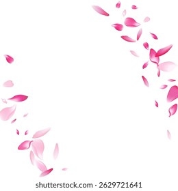 Color Sakura Petal Vector White Background. White Floor Rose Petal Frame. Flower Petal Springtime Pattern. Delicate Apple Petal Congratulation.