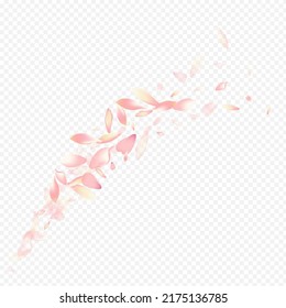 Color Sakura Vector Transparent Background. Bloom SummerDrop Illustration. Heart Feminine Pattern. Floral Blow Template. Red Lotus Valentine Design.