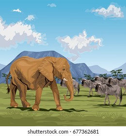 color scene african landscape with elephants and wildebeest herd