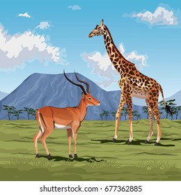 color scene african landscape with gazelle and giraffe animal
