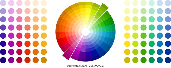 Color scheme with a circle in the center, color palette of flowers and their shades isolated on a white background. Vector, designer illustration. Vector.