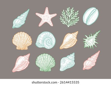 Color seashells and marine elements on grey background. Hand drawn vector set of starfish, coral, and ocean shells in pastel colors. Nautical summer decorative illustration.
