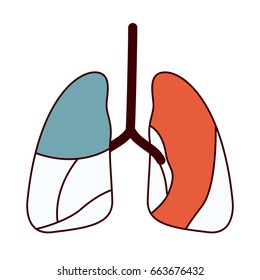 color sections contour respiratory system vector illustration