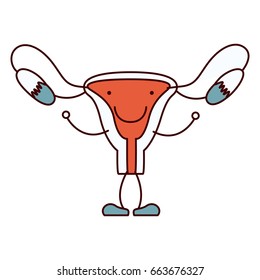 color sections hand drawing contour caricature female reproductive system vector illustration