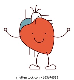 color sections hand drawing contour caricature circulatory system with heart vector illustration