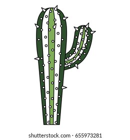 color sections silhouette of cactus with big branch with thick contour vector illustration