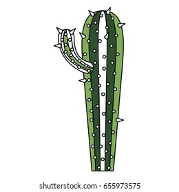 color sections silhouette of cactus with small branch and thick contour vector illustration