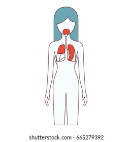 color sections silhouette female person with respiratory system human body vector illustration