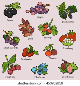 Color set of berries, vector cartoon stickers for children