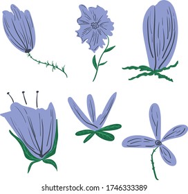 Conjunto de colores. Flores azules de diferentes tamaños. Bluebells, flores de maíz.