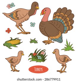 Color set of cute farm animals and objects, vector family turkeys