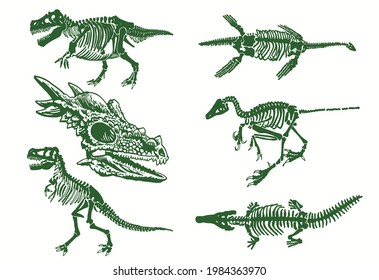 Color set of dinosaur skeletons,illustration for design and printing,paleontological elements