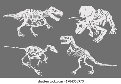 Color set of dinosaur skeletons,illustration for design and printing,paleontological elements