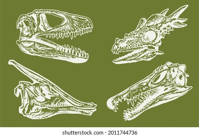 Color set of dinosaur skulls on green background,vector illustration for design and printing,paleontology