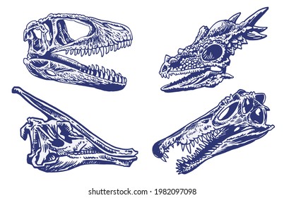 Color set of dinosaur skulls,vector illustration for design and printing,paleontology