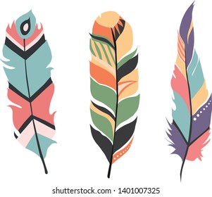 color set  feathers. Vector plume