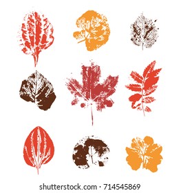 Color Set with hand made ink stamp leaves. Objects isolated on white. Black and white leaf blots. Monochrome artistic floral collection. Hi detailed texture of forest leaves