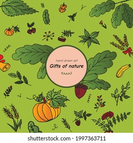 Color set of hand-drawn oak leaves, twigs, vegetables, berries and bouquets for textiles, wallpaper, postcards, notebooks and decorative paper. Vector isolated set.