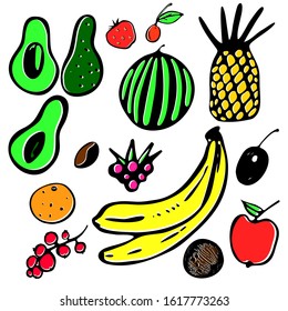 Color set of linear fruits and berries in a hand-draw style. There are: Avocado, strawberries, cherries, watermelon, pineapple, orange, coffee, banana, orange, apple, coconut, raspberry, currant.