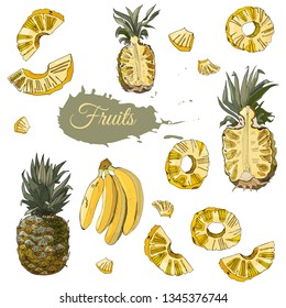 Color set  of pineapple and banana fruits. Whole and sliced elements isolated on white background. Hand drawn sketch. Vector illustration.
