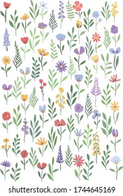 Color set of plant elements for decoration of fabrics, office, various printed products, invitations, postcards