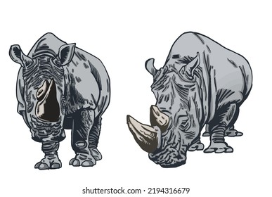 Color set of rhinoceroses on white isolated, vector illustration,graphical drawing. Stylish print elements, savanna habitant