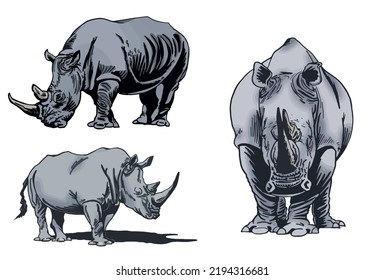 Color set of rhinoceroses on white isolated, vector illustration,graphical drawing. Stylish print elements, savanna habitant