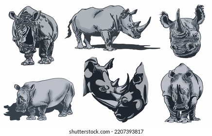 Color  set of rhinoceroses on white isolated, vector illustration,graphical drawing. Stylish print elements, savanna habitant