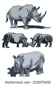 Color  set of rhinoceroses on white isolated, vector illustration,graphical drawing. Stylish print elements, savanna habitant