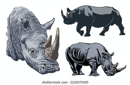 Color  set of rhinoceroses on white isolated, vector illustration,graphical drawing. Stylish print elements, savanna habitant