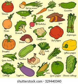 Color Set Vegetables Vector Cartoon Collection Stock Vector (Royalty ...