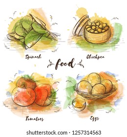 Color Set of vegetarian food in sketch graphic. Vector watercolor images of food. Healthy food, spinach, chickpea, tomatoes, eggs.