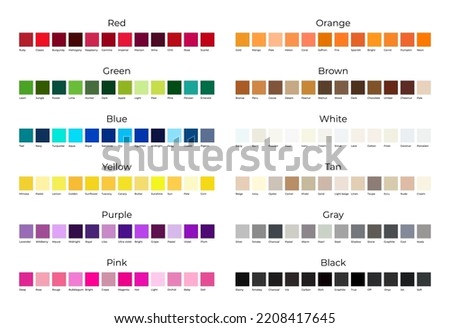 Color Shades for Every Colors Palette Isolated on White Background Foto stock © 