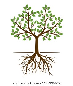 Color shape of Tree with Roots. Vector Illustration. Plant in garden.