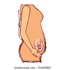 color silhouette with blurred contour of side view pregnancy process in female body fetus human growth trimestrer vector illustration