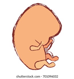 color silhouette with blurred contour of side view fetal growth in the beginning vector illustration