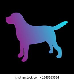 Color silhouette of a dog on a black background. Vector illustration.