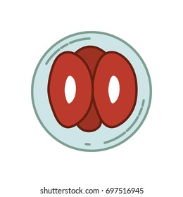 color silhouette of front view division of the ovule vector illustration