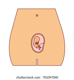 color silhouette of front view pregnancy process in female body fetus human growth a few weeks vector illustration