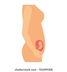 color silhouette of side view pregnancy process in female body fetus human growth a few weeks vector illustration