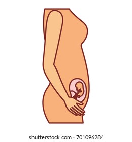 color silhouette with thick contour of side view pregnancy process in female body fetus human growth a few weeks vector illustration