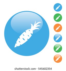 color simple round flat vector icon carrot