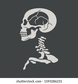 Color skeleton on black background