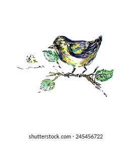 color sketch bird