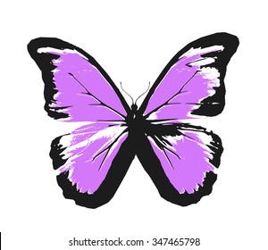 Color Sketch Butterfly On White