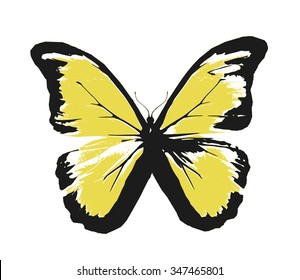 Color sketch butterfly on white