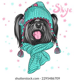 color sketch of the cartoon hipster cute dog Skye Terrier breed in knitted hat and scarf