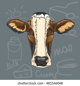 Color sketch of a cow's face. Vector portrait illustration