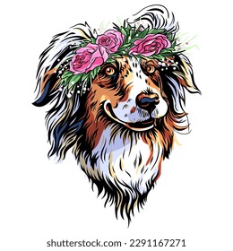 Color sketch of dog Australian Shepherd breed in flower wreath