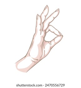 Color sketch - hand making OK gesture. Human brush. Hand drawn with ink. Isolated on white background vector.